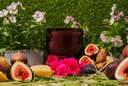 HO4003_assorted_03.jpg
