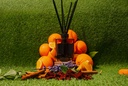 HO4014_assorted_03.jpg