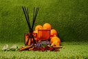 HO4014_assorted_05.jpg