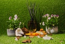 HO4015_assorted_03.jpg