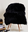 LW5006_ASSORTED_02.jpg