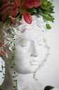 SE2131_ASSORTED_02.jpg