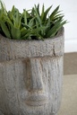 SE2253_assorted_05.jpg