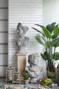 SE2316_ASSORTED_05.jpg
