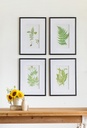 SE2318_ASSORTED_02.jpg
