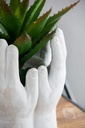 SE2527_ASSORTED_06.jpg