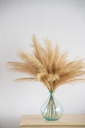SE2575_ASSORTED_05.jpg