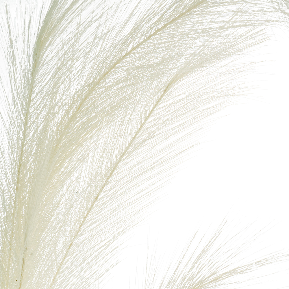 SE2577_ASSORTED_02.jpg