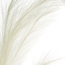 SE2577_ASSORTED_02.jpg