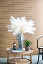 SE2577_ASSORTED_03.jpg