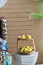 SE2624_ASSORTED_02.jpg