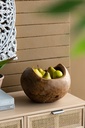 SE2641_ASSORTED_02.jpg