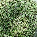 SE2662_ASSORTED_03.jpg