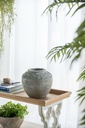 SE2694_ASSORTED_03.jpg