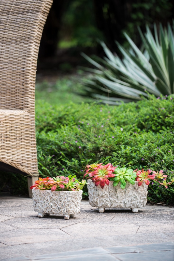 SE2695_ASSORTED_06.jpg