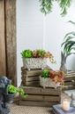 SE2696_ASSORTED_05.jpg
