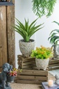 SE2698_ASSORTED_05.jpg