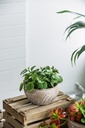 SE2699_ASSORTED_05.jpg
