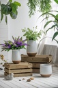 SE2713_ASSORTED_06.jpg