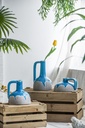 SE2717_ASSORTED_02.jpg
