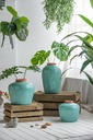 SE2719_ASSORTED_05.jpg