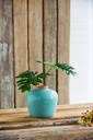 SE2720_ASSORTED_07.jpg