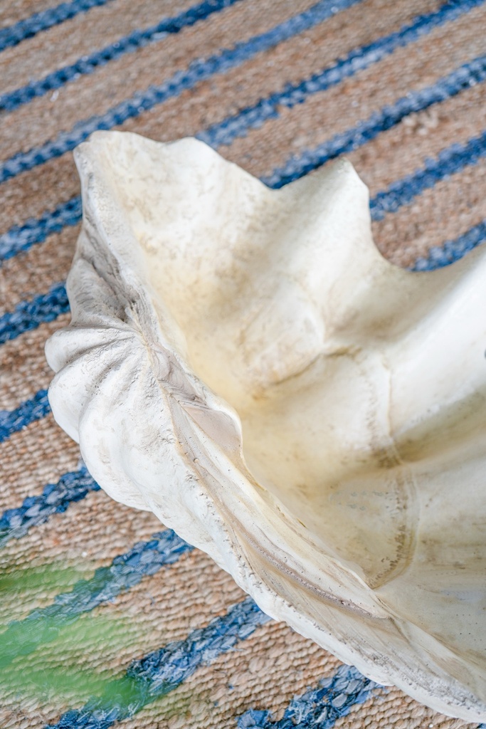 SE2729_ASSORTED_02.jpg
