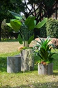 SE2739_assorted_07.jpg