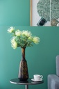 SE2758_assorted_07.jpg