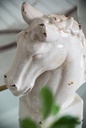 SE2785_ASSORTED_04.jpg