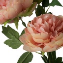 SE2798_ASSORTED_02.jpg