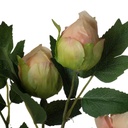 SE2798_ASSORTED_03.jpg