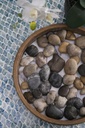 SE2894_ASSORTED_03.jpg