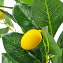 SE2908_ASSORTED_03.jpg