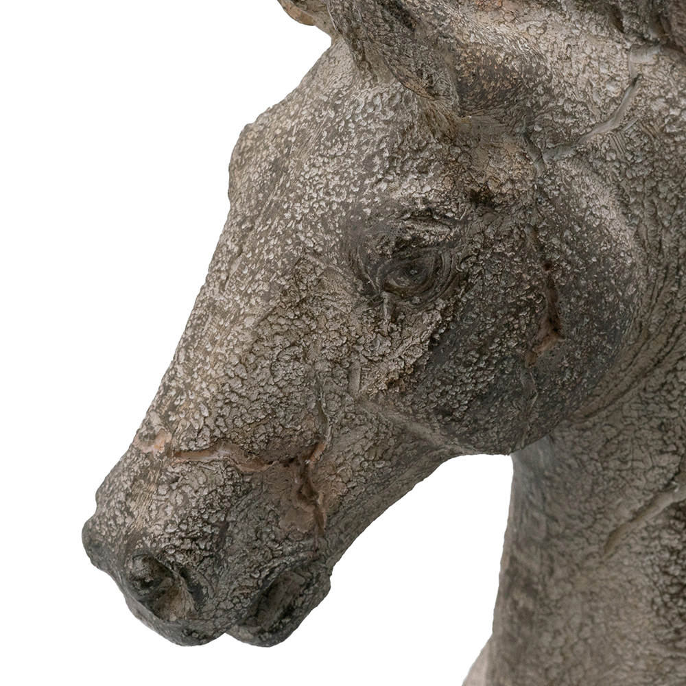 SE2913_ASSORTED_02.jpg