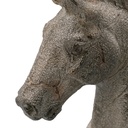 SE2913_ASSORTED_02.jpg