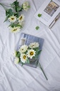 SE2929_ASSORTED_05.jpg