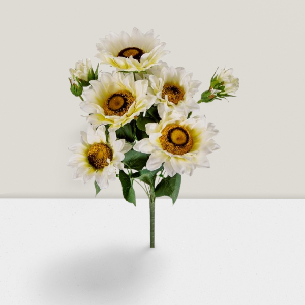 SE2929_ASSORTED_06.jpg