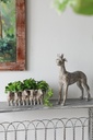 SE3029_assorted_03.jpg