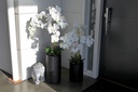 YI1017_assorted_02.jpg