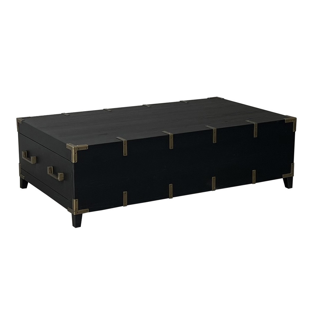 HARLEQUIN TRUNK COFFEE TABLE - OLD PINE / METAL FITTINGS