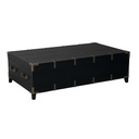 HARLEQUIN TRUNK COFFEE TABLE - OLD PINE / METAL FITTINGS