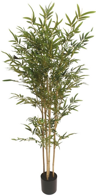 BAMBOO TREE