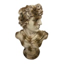 DAVID BUST - INDOOR & OUTDOOR - ANTIQUE MARBLE MAGNESIA COMPOSITE
