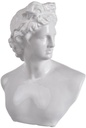 JULIAN BUST STATUE - LARGE
