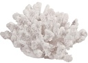 FAUX CORAL
