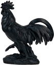 ROOSTER