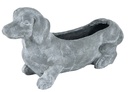 DOG PLANTER