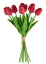 TULIPS 9 STEM RED