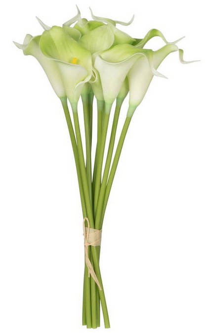 9 PCE CALALILY BUNCH - GREEN